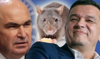 Se rupe azi Coaliția „șobolanilor”?