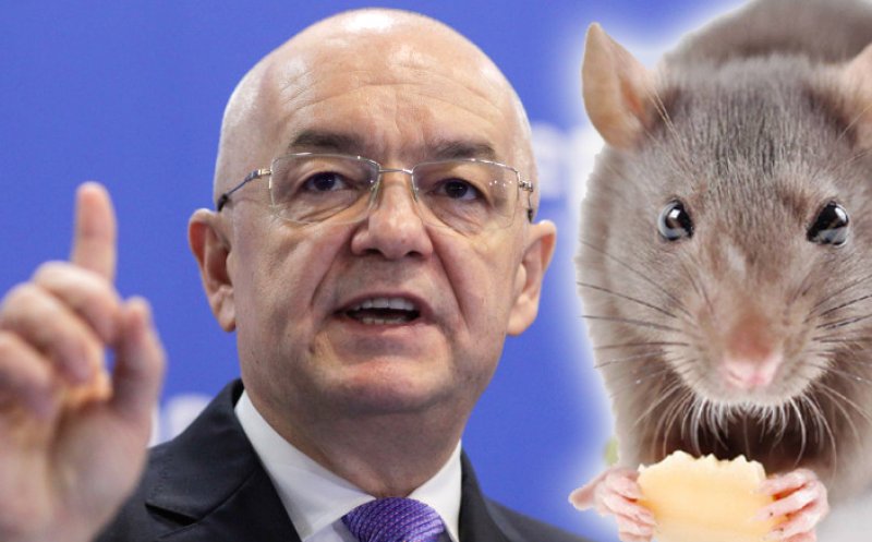 Emil Boc: ”Am văzut și eu cămara când am fost premier” / Ce ”șobolani” a stârpit primarul Clujului din vistieria statului când a fost în fruntea Guvernului