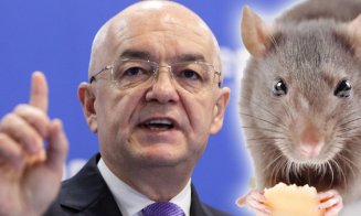 Emil Boc: ”Am văzut și eu cămara când am fost premier” / Ce ”șobolani” a stârpit primarul Clujului din vistieria statului când a fost în fruntea Guvernului