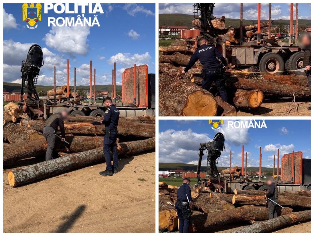 Transport ilegal de lemn depistat în Cluj: amendă de 5.000 de lei și marfă confiscată