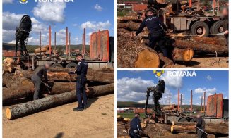 Transport ilegal de lemn depistat în Cluj: amendă de 5.000 de lei și marfă confiscată