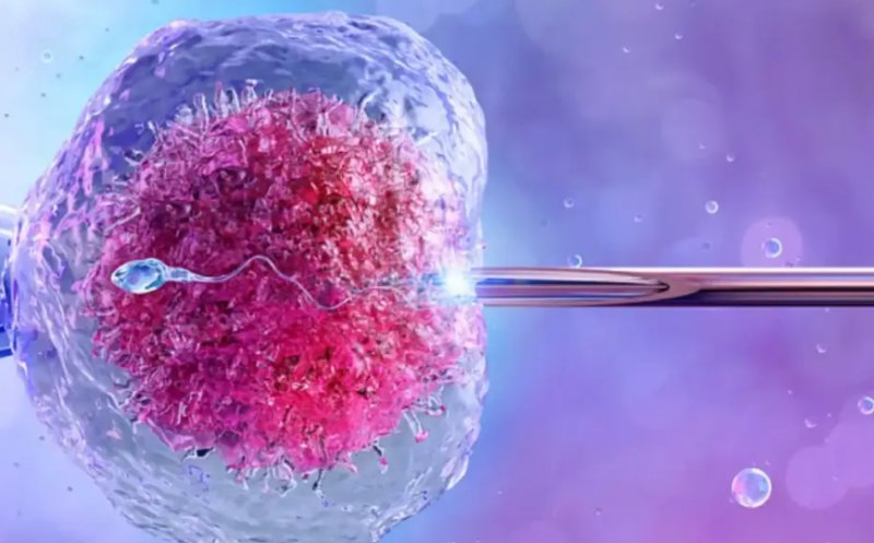 Programul FIV merge mai departe: 15.000 de lei pentru fertilizare in vitro și în 2026