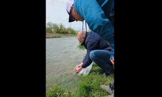 Un gest simplu pentru echilibrul Someșului: repopulare cu păstrăv