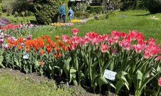 Grădina Botanică Cluj  - Minivacanța de 1 mai se anunță plină de culoare!