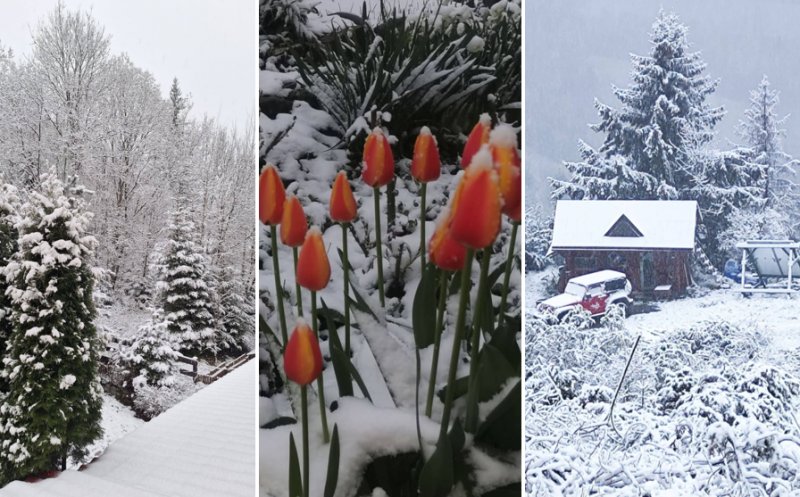 Minivacanță de 1 Mai pe pârtie! La munte a nins la munte și s-a așternut strat de zăpadă