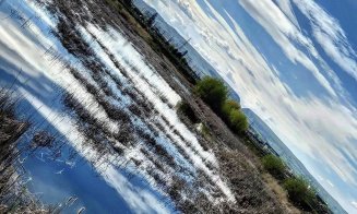 ”Deltă” urbană în Cluj. Ecosistem care pare desprins din peisajele biosferei Delta Dunării