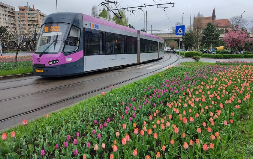 Program special de transport în Cluj: Mai multe autobuze și curse prelungite pentru derby-urile weekendului