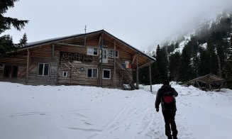 Un incendiu puternic a distrus complet o cabană îndrăgită de turiști și iubitori ai muntelui.