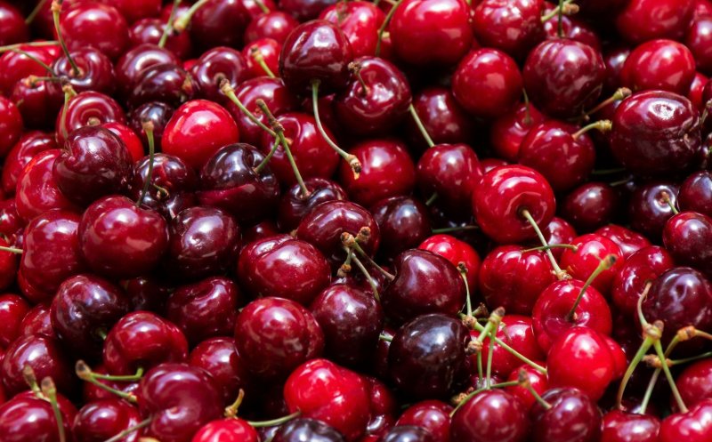 Clujenii scot bani grei din buzunar pentru cireșele de import. Când intră pe piață cele românești și la ce preț