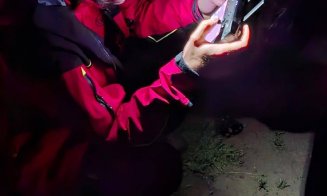 Copil de 5 ani DISPĂRUT fără urmă de luni după-masa / Tatăl copilului, fost fermier în Columbia