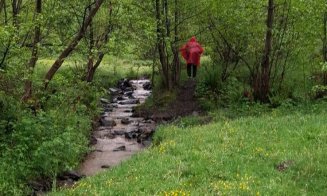 Copil de 5 ani DISPĂRUT fără urmă de luni după-masa / Tatăl copilului, fost fermier în Columbia