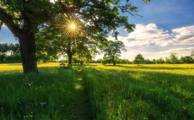 Vești noi de la meteorologi. Cum va fi vremea în minivacanța de Rusalii și de Ziua Copilului
