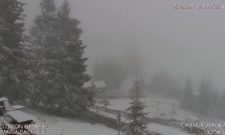Peisaj de iarnă în mijloc de mai! A nins la munte în Cluj