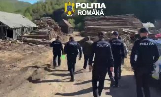 Controale la un depozit de lemne din Cluj: diferențe uriașe între stocul scriptic și cel real