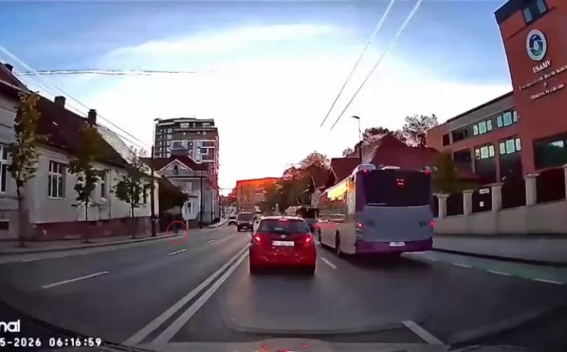 Scene incredibile în Cluj! Un pui de căprioară a fost surprins alergând printre mașini pe Calea Mănăștur