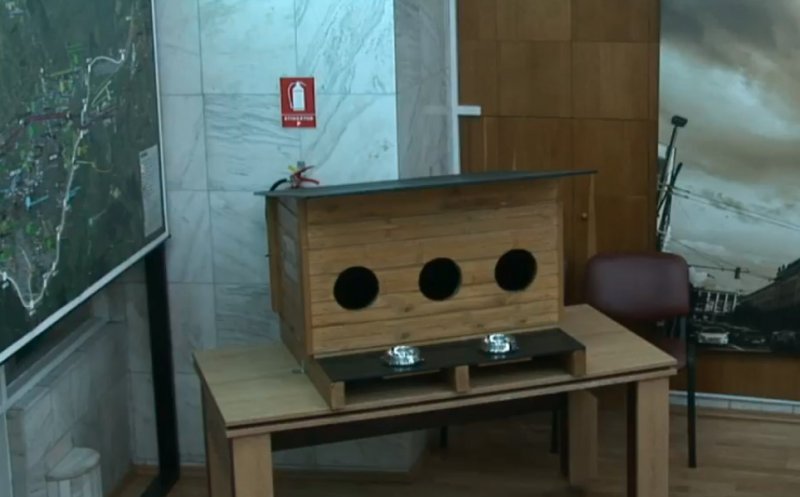 Cluj-Napoca: căsuțe pentru pisicile fără stăpân
