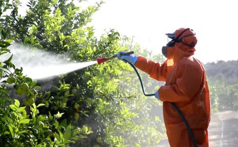 Avertisment: Un pesticid comun este asociat cu leziuni cerebrale ascunse