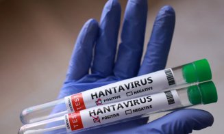 Încă o persoană care a fost pe vasul MV Hondius a fost confirmată cu hantavirus