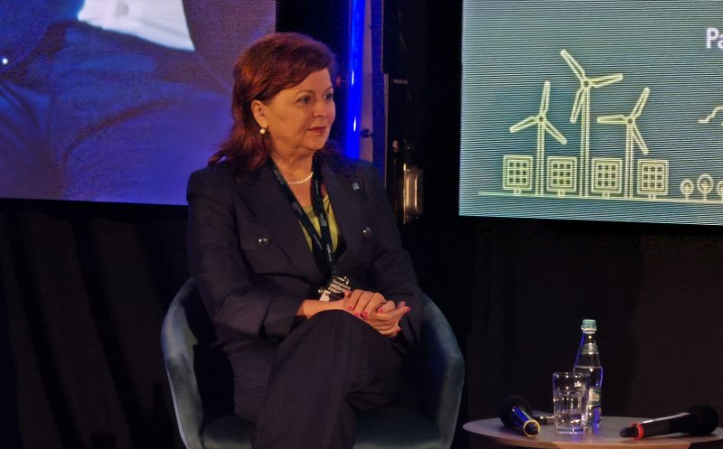 TGEF 2026 | Rețelele de distribuție, esențiale pentru tranziția verde. Mihaela Suciu, DEER: „Fără investiții, energia produsă nu poate fi preluată”