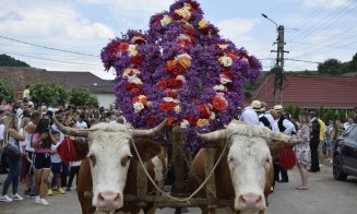 ”Înstruțatul boului” în statele din Transilvania de Rusalii, o reminiscență a unor credințe străvechi / Purificat cu „apă neîncepută”