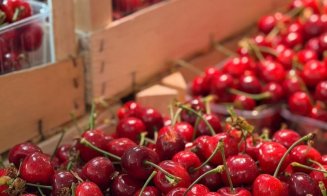 Ferma din Cluj care a luptat cu înghețul și a „ars” 40.000 de euro într-o noapte are acum cireșe pe piață. Cât costă kilogramul
