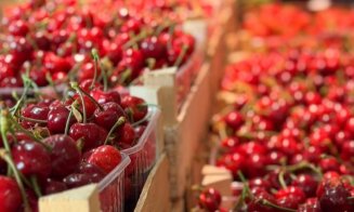 Ferma din Cluj care a luptat cu înghețul și a „ars” 40.000 de euro într-o noapte are acum cireșe pe piață. Cât costă kilogramul