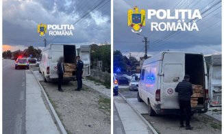 Transport ilegal de lemn în Cluj: șofer lăsat fără marfă, dar să vezi ce amendă a primit