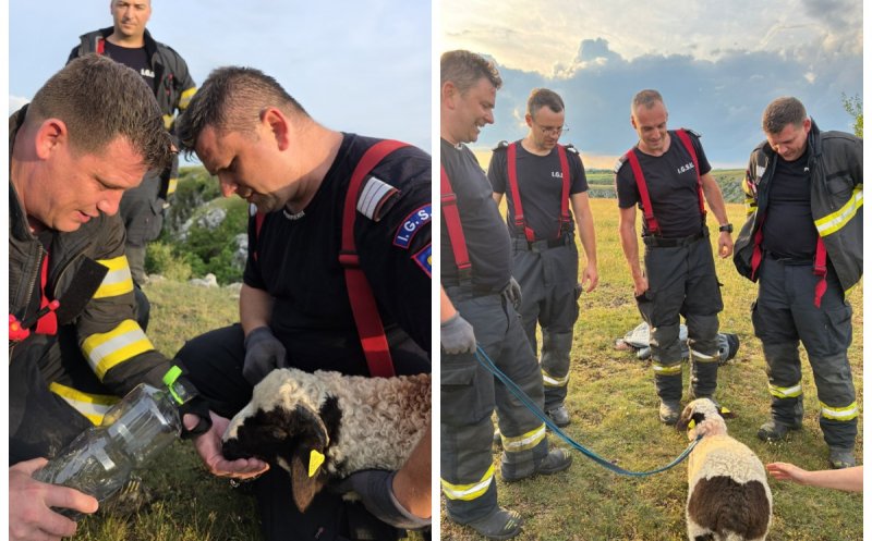 Misiune de salvare inedită în Cheile Turenilor: pompierii clujeni au salvat un miel căzut într-o râpă de peste 20 de metri
