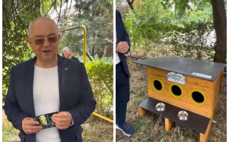 Primele căsuțe pentru pisicile fără stăpân au apărut în Cluj-Napoca. Emil Boc: "Clujenii iubesc animalele"