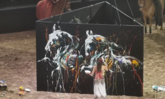 Spectacol ecvestru Sports Festival 2026