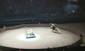 Spectacol ecvestru Sports Festival 2026