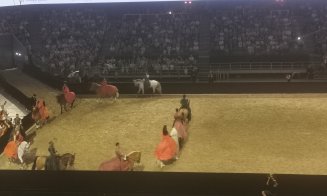 Spectacol ecvestru Sports Festival 2026