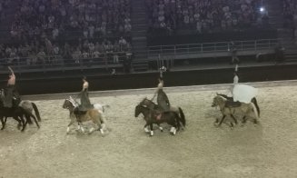 Spectacol ecvestru Sports Festival 2026