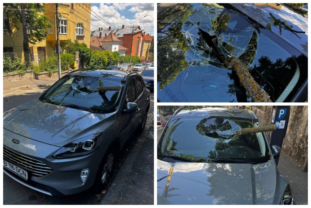 Incident șocant în Cluj-Napoca: o creangă de copac tăiată a aterizat direct în parbrizul unei mașini. "Dorel lovește din nou"