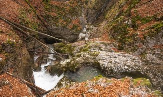 Cel mai frumos traseu din Munții Apuseni, destinația ideală de weekend