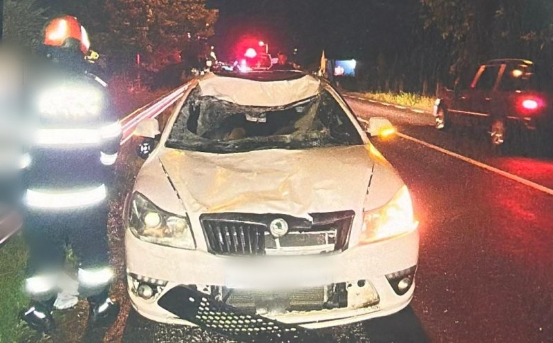 ACCIDENT în Cluj: Un cal accidentat și-a găsit sfârșitul pe șosea / Victimă + 2 mașini avariate