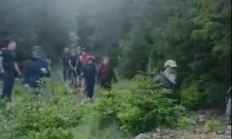 Zeci de turiști polonezi, evacuați de pe munte de jandarmii români după o întâlnire cu o ursoaică și puiul ei