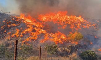 Oameni găsiți carbonizați în mașini, în urma unui incendiu de vegetație devastator în Spania / Autoritățile cred că toți sunt turiști străini