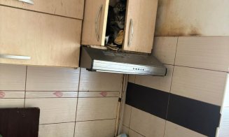 115 pisici salvate dintr-un apartament cu 2 camere / ”Și autorităților le-a luat ani de zile să facă ceva? Rușinos și jenant!”