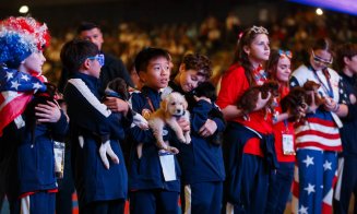Cățelușii de la Centrul de Îngrijire din Cluj au fost atracția weekendului la Campionatul Mondial de Karate WUKF. Campania de adopții continuă