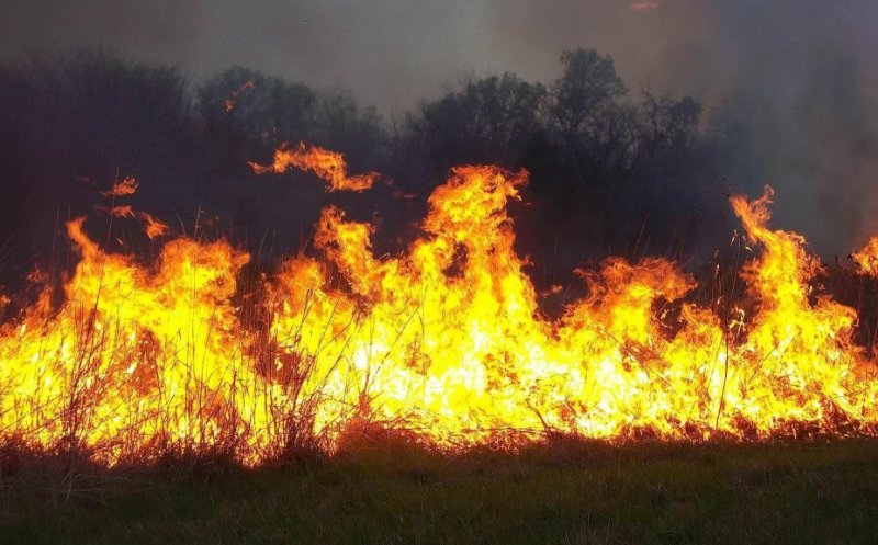 Nu dați foc vegetației uscate! Canicula aduce risc extrem de incendii în Cluj/ Ce amenzi riscă cei care incendiază miriștile