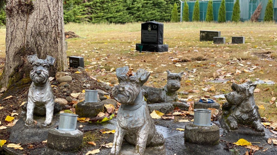 Clujul va avea un cimitir pentru animalele de companie și o pădure - parc pe Valea Gârbăului