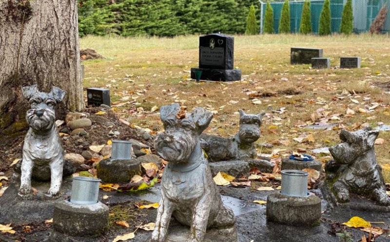 Clujul va avea un cimitir pentru animalele de companie și o pădure - parc pe Valea Gârbăului