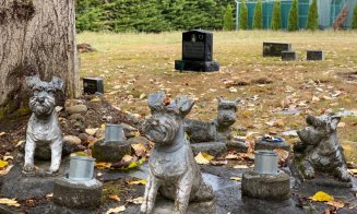 Clujul va avea un cimitir pentru animalele de companie și o pădure - parc pe Valea Gârbăului