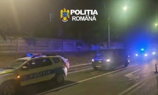 Răsturnare de situație în dosarul tăierilor ilegale din Cluj: cei 8 suspecți nu ajung după gratii. Ce au decis procurorii