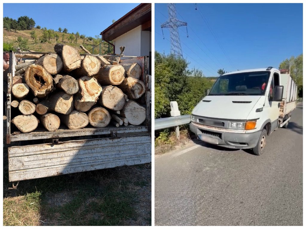 Transport de lemne fără acte, depistat în Cluj. Șoferul a primit o amendă uriașă