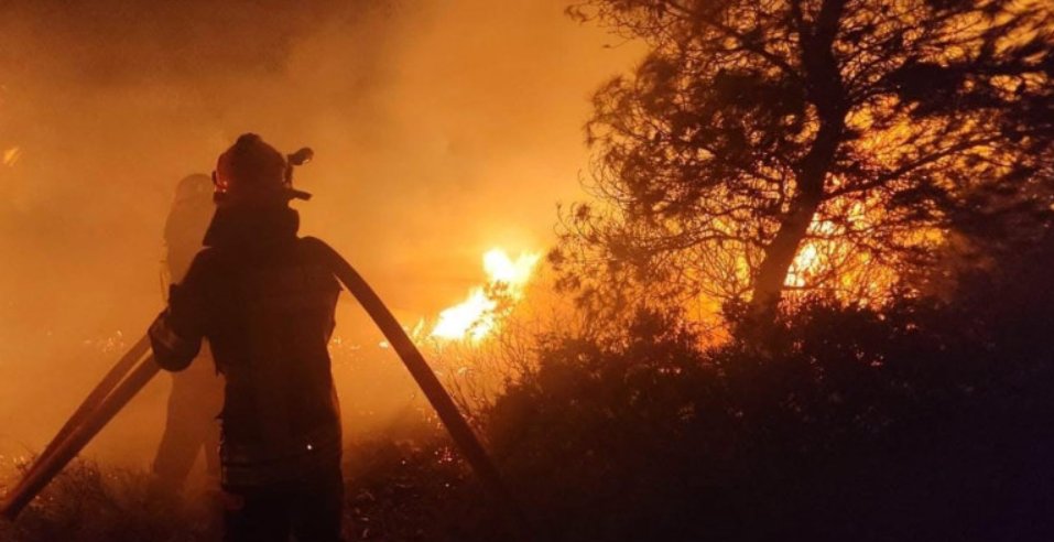 Incendiu de pădure în Cluj. Pompierii intervin cu dificultate din cauza terenului accidentat