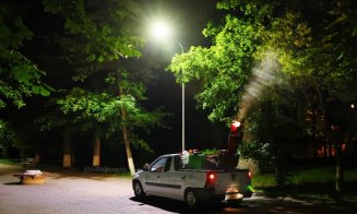 Se face deparazitare în Turda. În ce zile și în ce zone se intervine