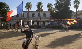 Working Equitation 2026