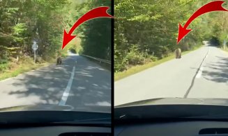 URS la jogging pe șosea, la Coada lacului în Tarnița